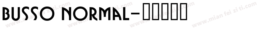 Busso Normal字体转换